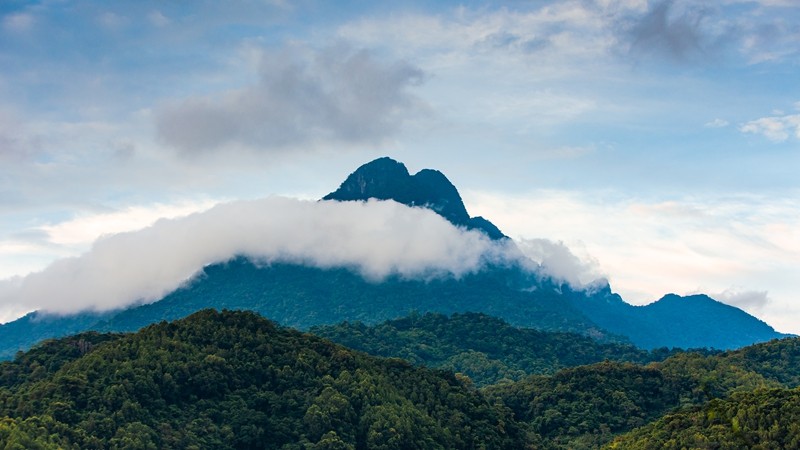 织密生态防护网青山绿水惠民生——我国自然保护地建设及野生动植物保护重大工程建设成就巡礼(图1)
