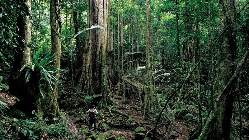 织密生态防护网青山绿水惠民生——我国自然保护地建设及野生动植物保护重大工程建设成就巡礼(图2)